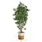 6ft. Black Olive Artificial Tree in Handmade Natural Jute and Cotton Planter